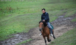 马交配高清视频,揭秘动物繁衍的神秘瞬间